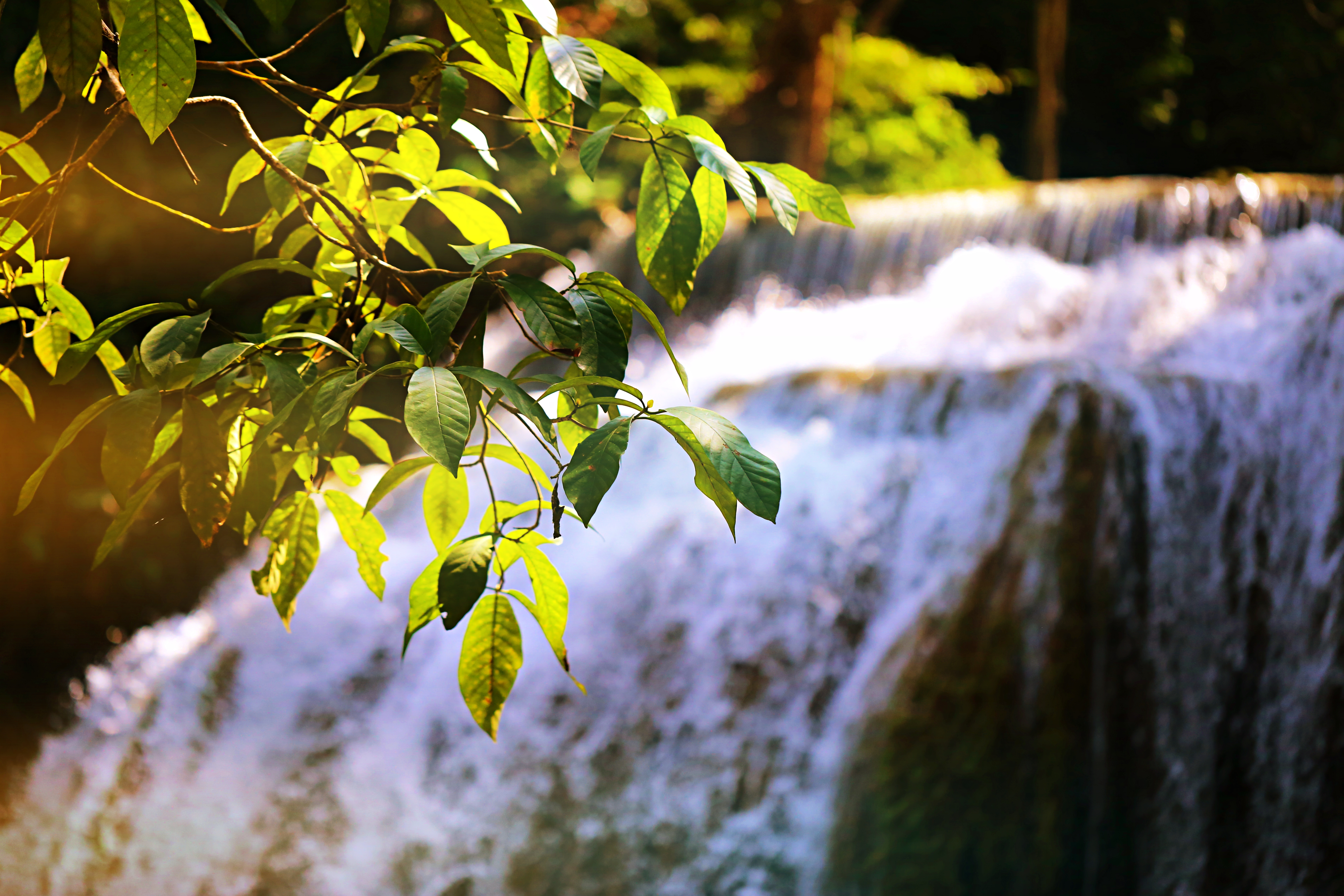 Beautiful waterfall in nature