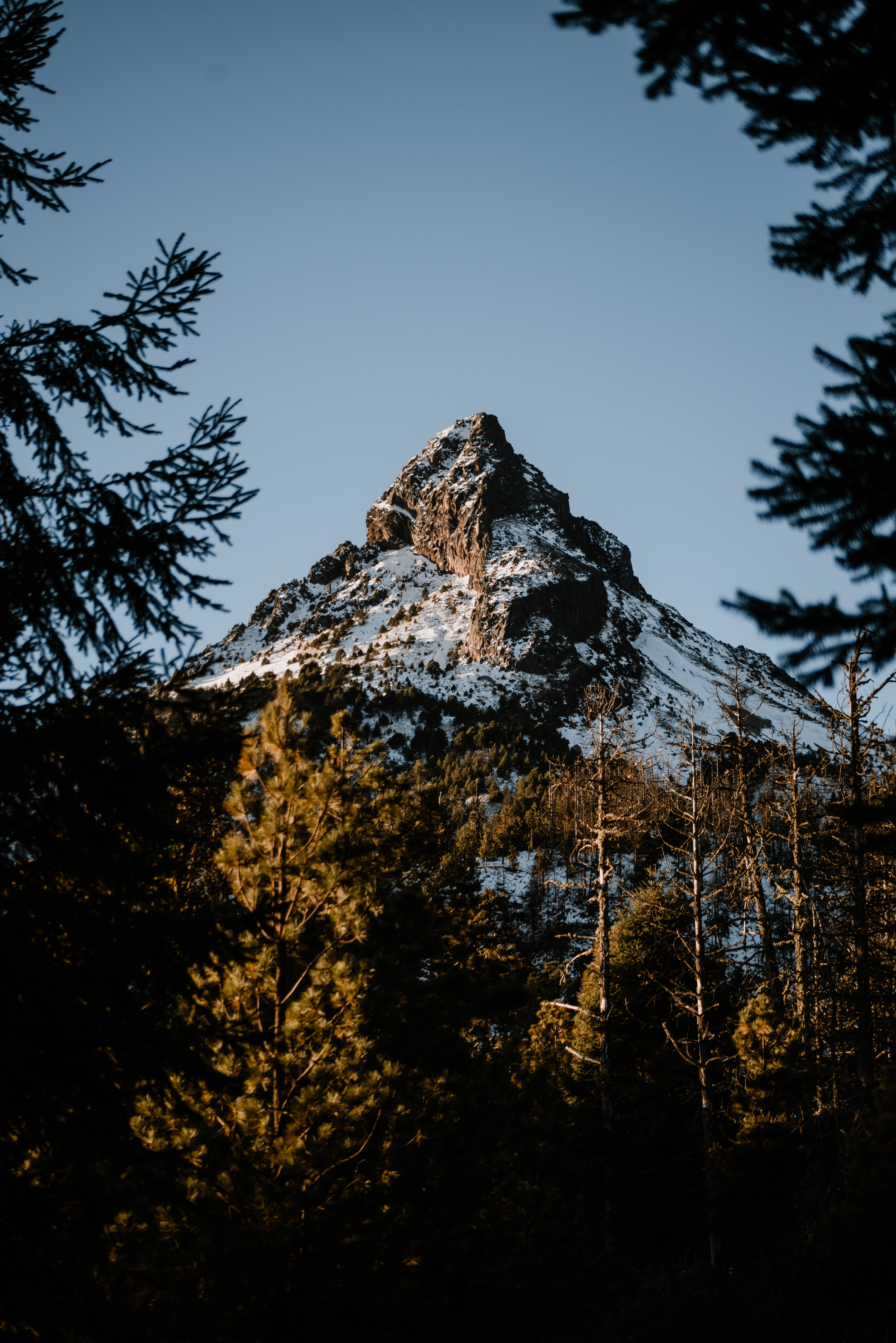Mountain surrounded by lush trees under a clear sky